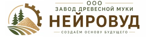 НЕЙРОВУД